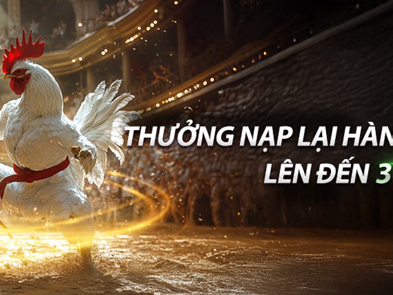 Bảo vệ tài khoản Kubet Casino